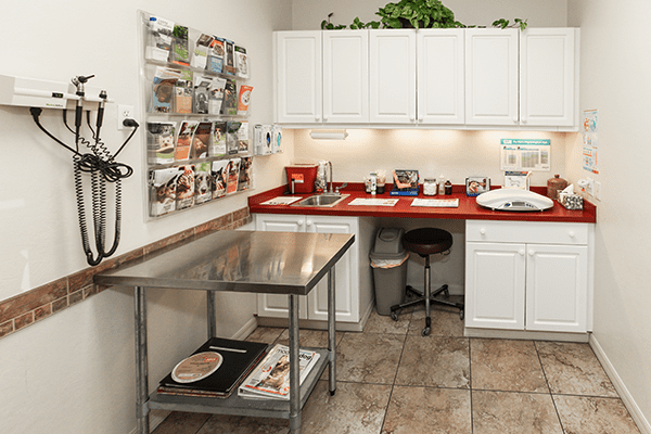 Exam Room at The Animalife Veterinary Center at Mission Hills