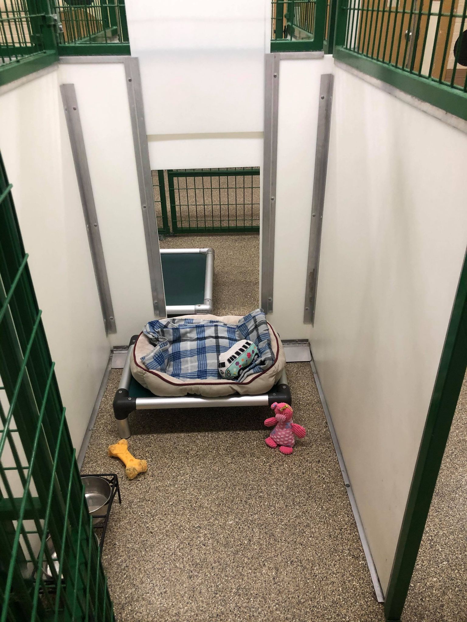 Boarding room green metal and doggy door open