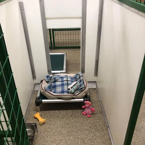 Boarding room green metal and doggy door open Boarding room green metal and doggy door open