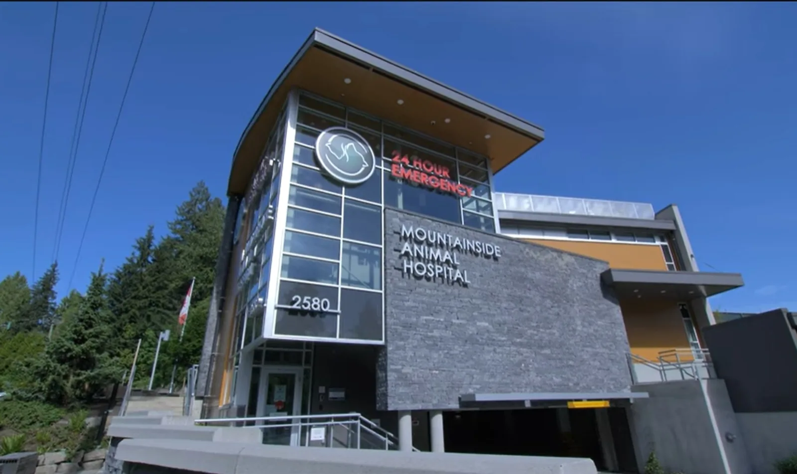 Mountainside Animal Hospital Careers YouTube Video Thumbnail