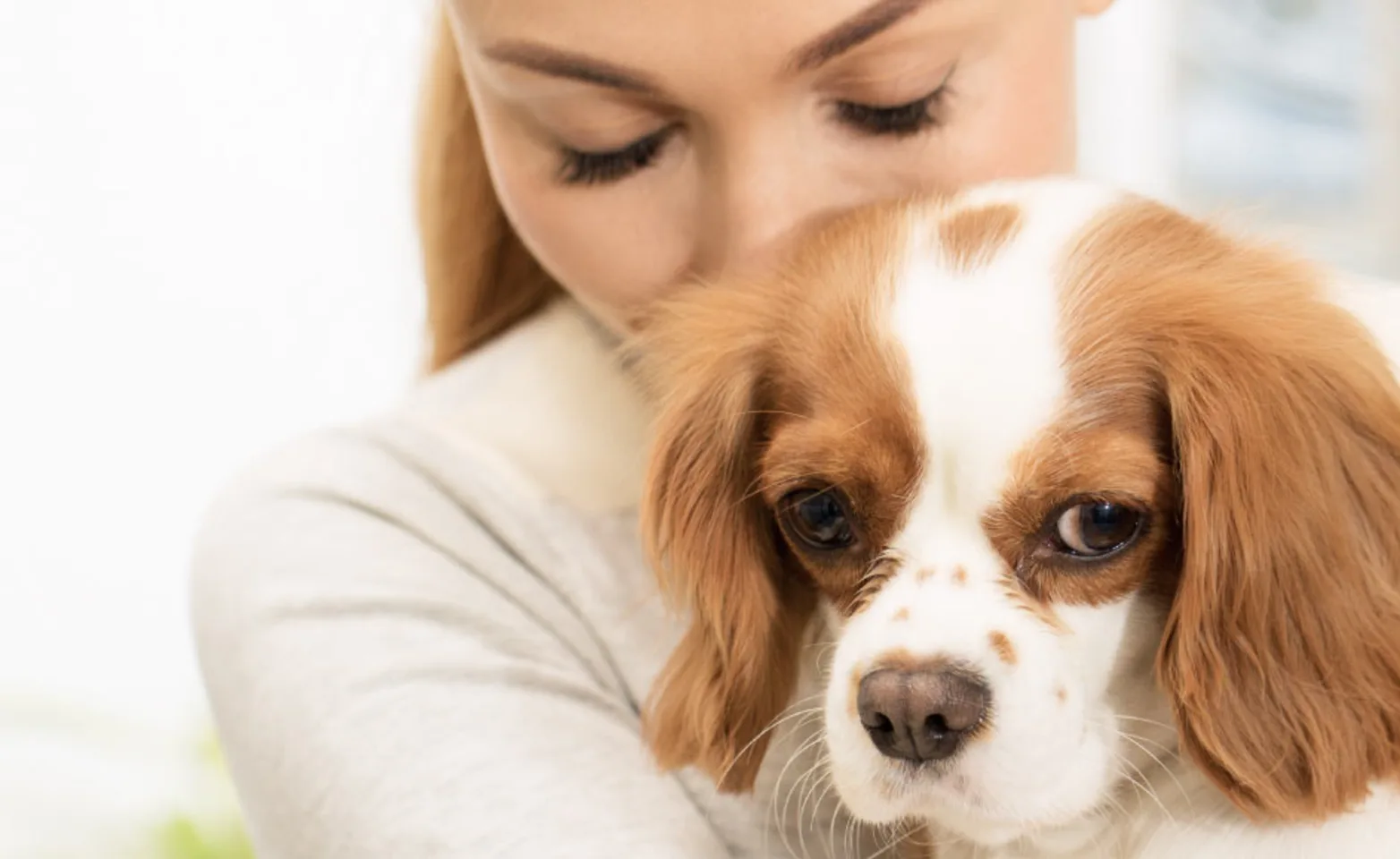 Woman cuddle dog Woman cuddle dog