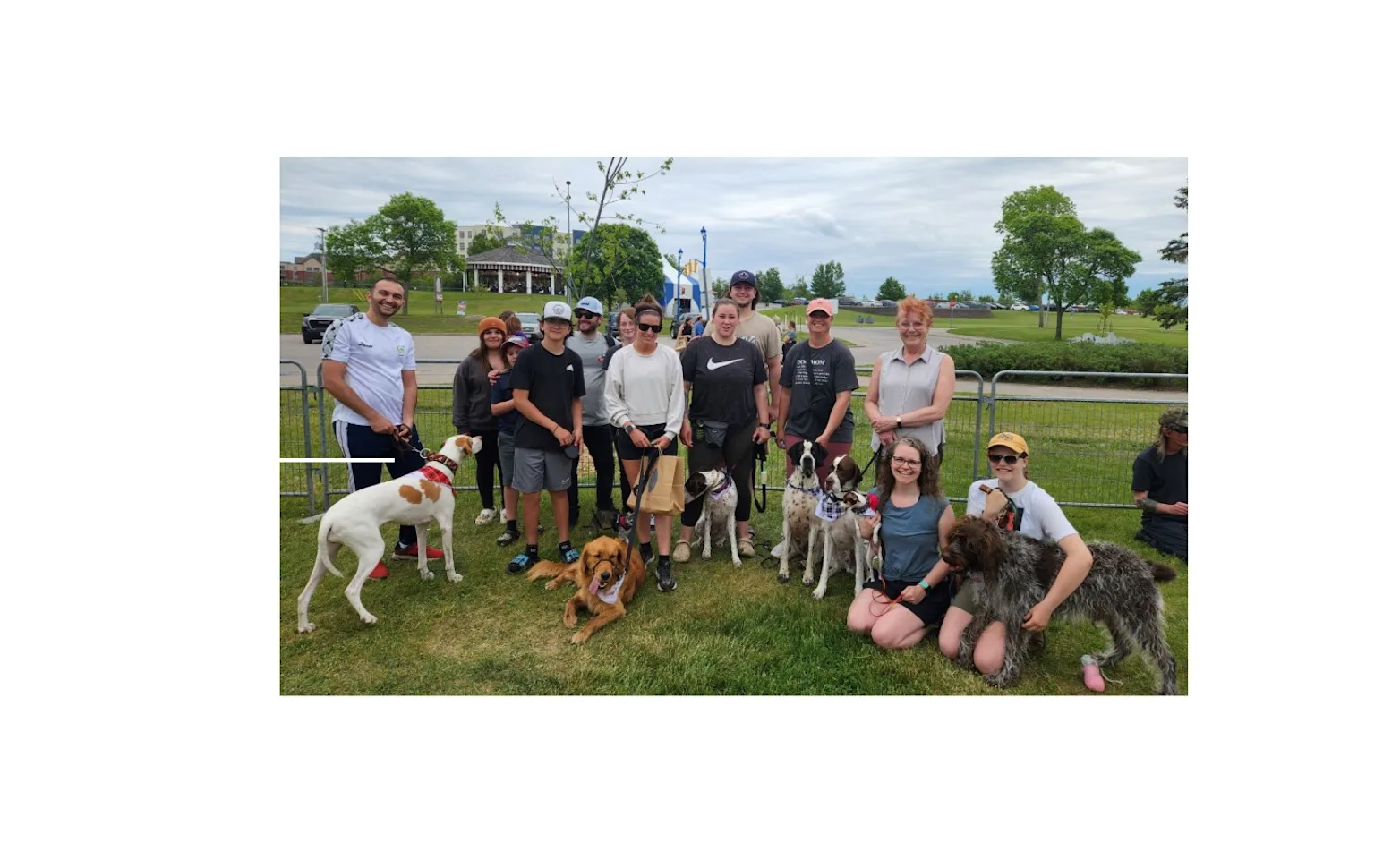 North Bay staff group photo with dogs North Bay staff group photo with dogs