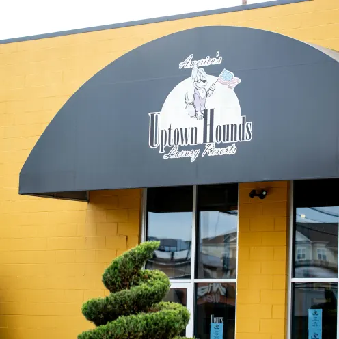 Uptown Hounds Signage on black awning 