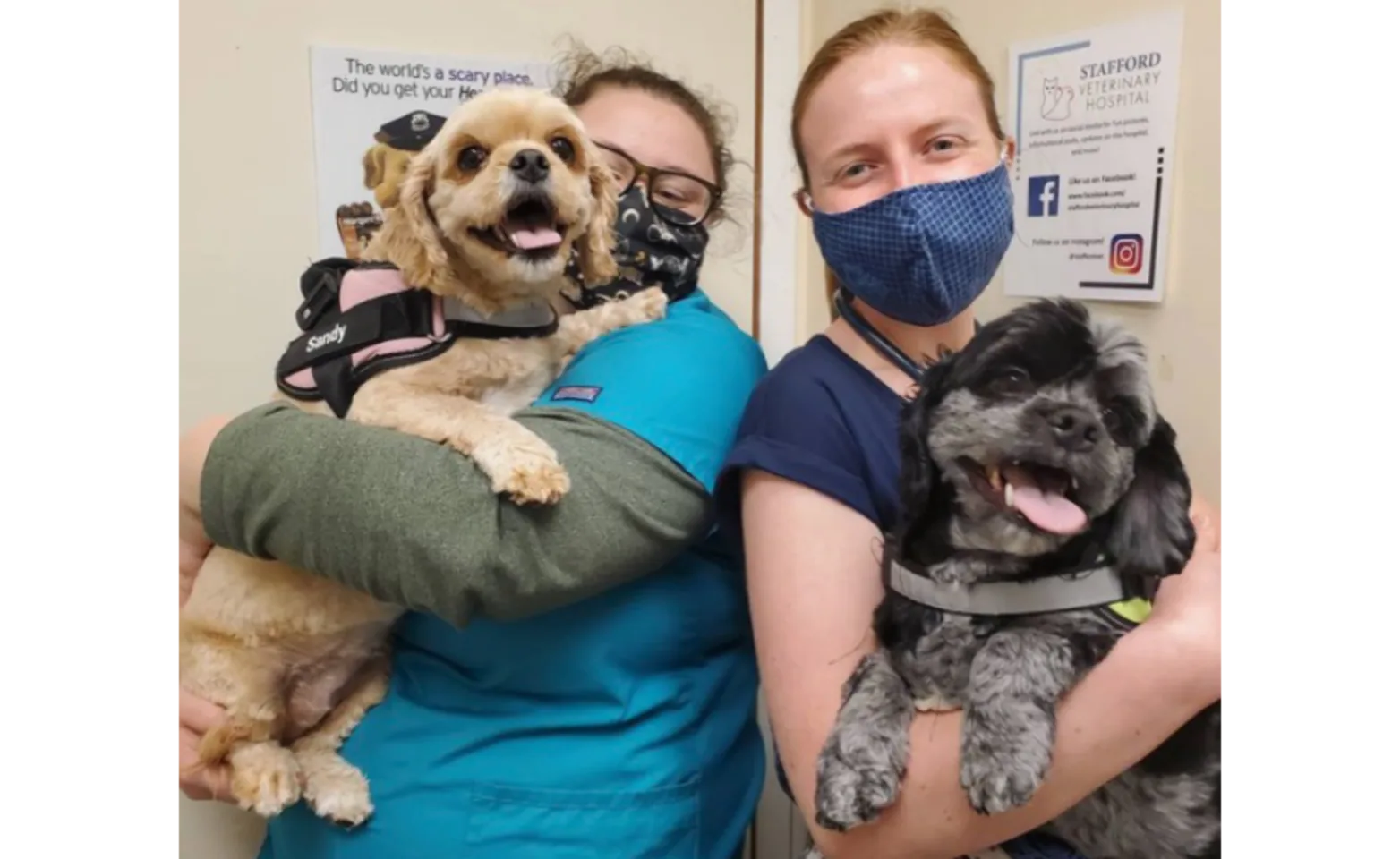 Two Staff Member Holding Two Dogs in Their Arms Two Staff Member Holding Two Dogs in Their Arms
