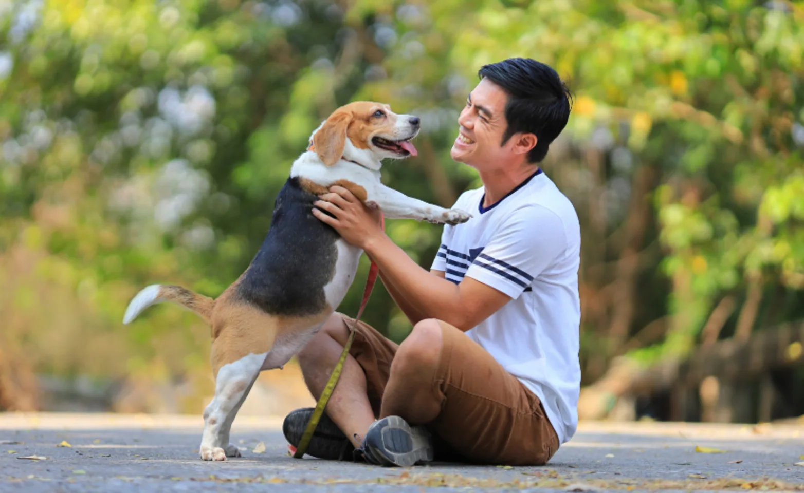 Man Smiling with Dog Sitting Outside Man Smiling with Dog Sitting Outside