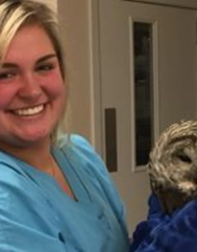Maplewood Animal Hospital Maddie with a rescued owl