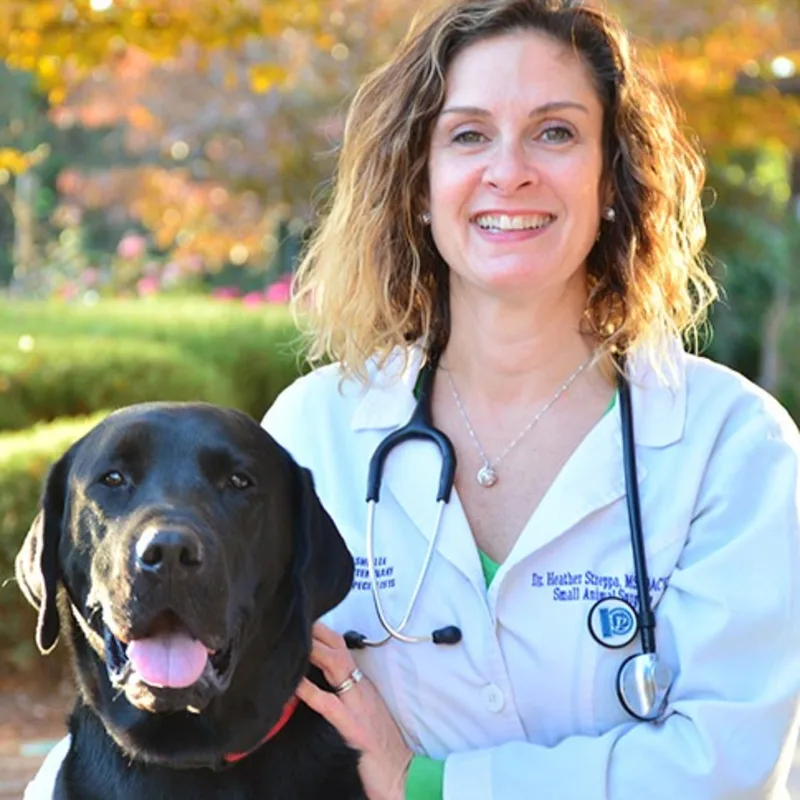 Heather Streppa Heather Streppa