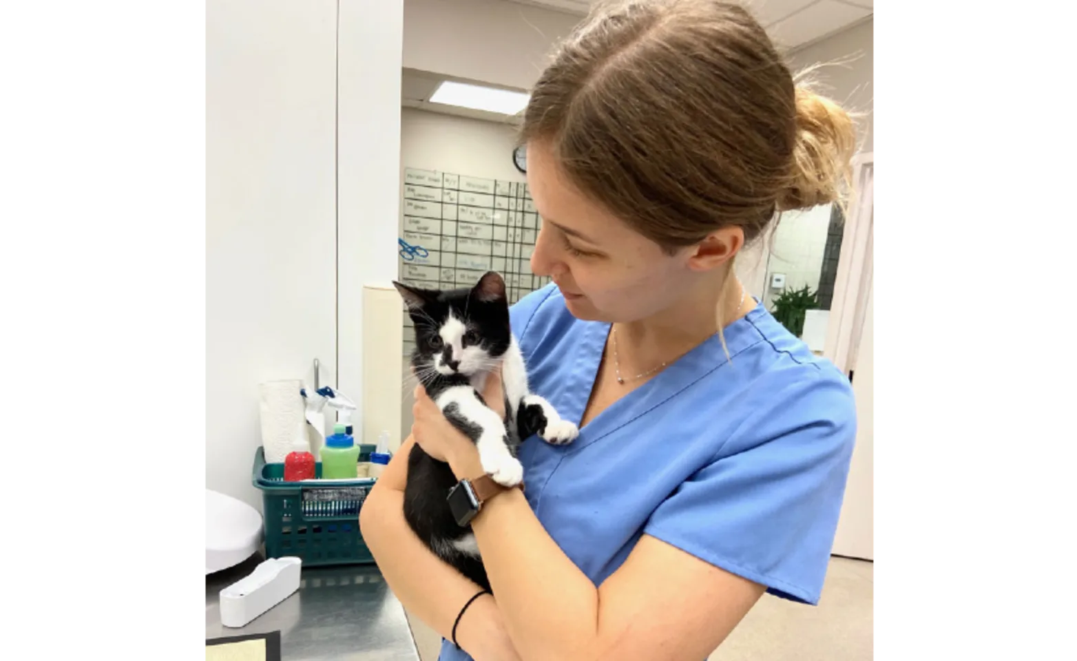 Employee holding black and white cat 