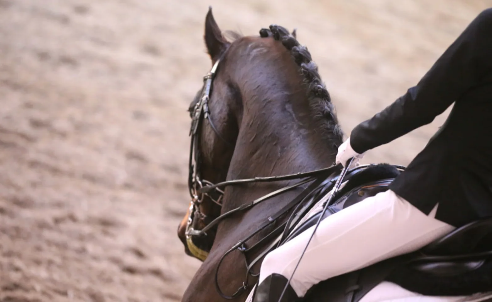 Rider on horseback Rider on horseback