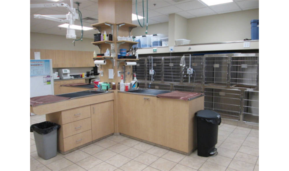 Eagle Animal Clinic Treatment Area