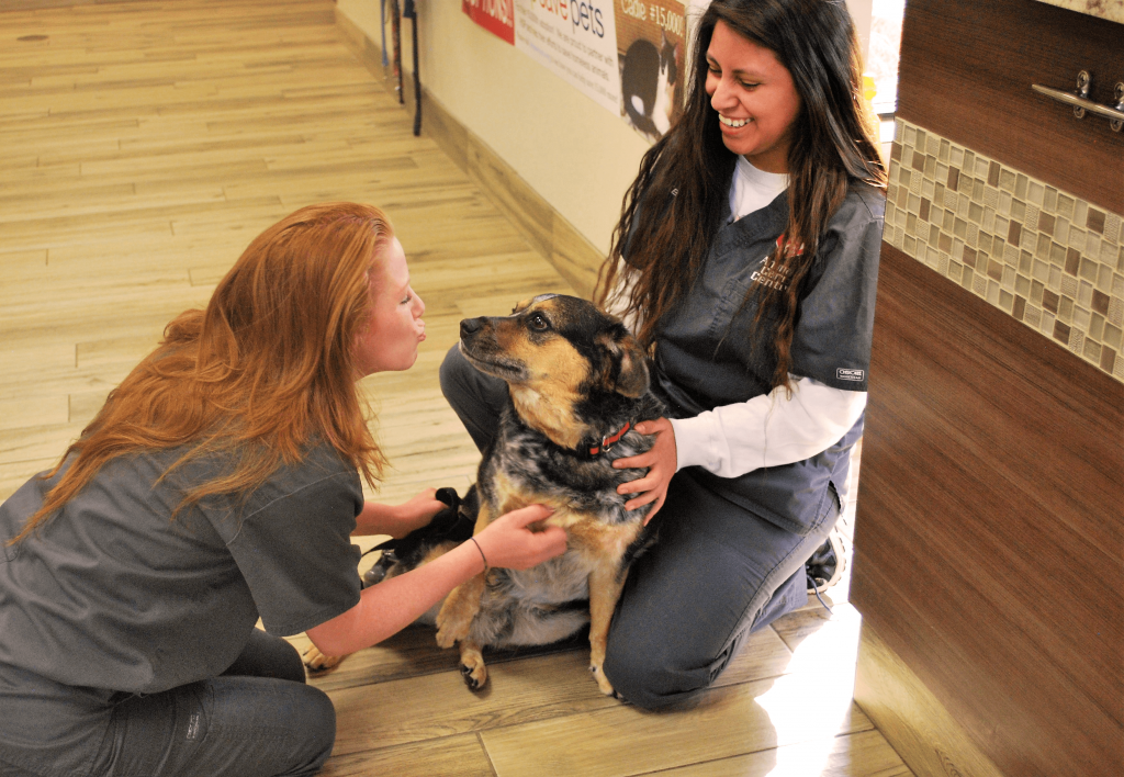 Animal Care Center of Polaris staff about to kiss a black and tan dog