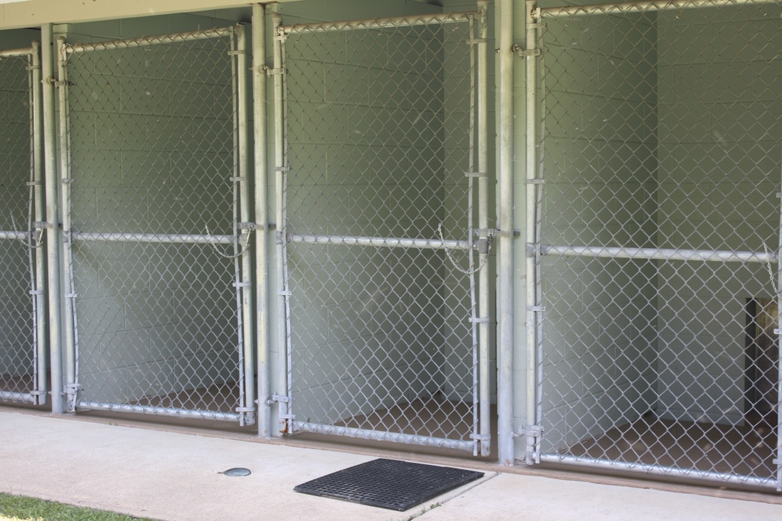 Westridge Animal Hospital Outside Kennel