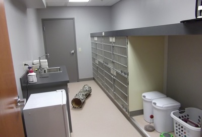 King of Prussia Veterinary Hospital Cat Ward