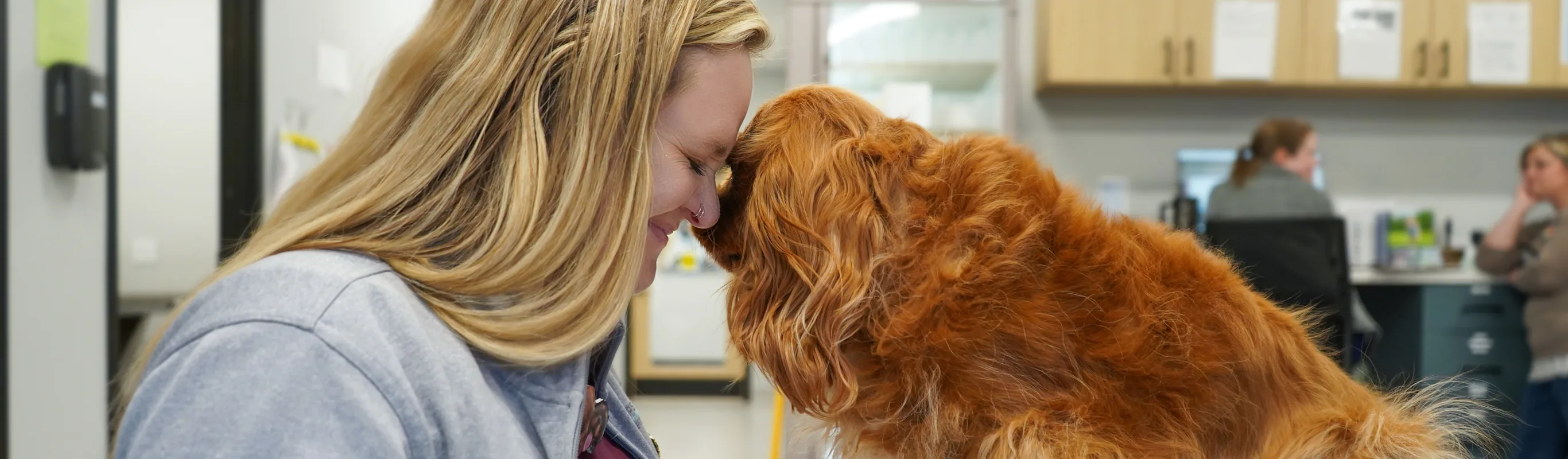 Veterinarian touching foreheads with a brown dog Veterinarian touching foreheads with a brown dog