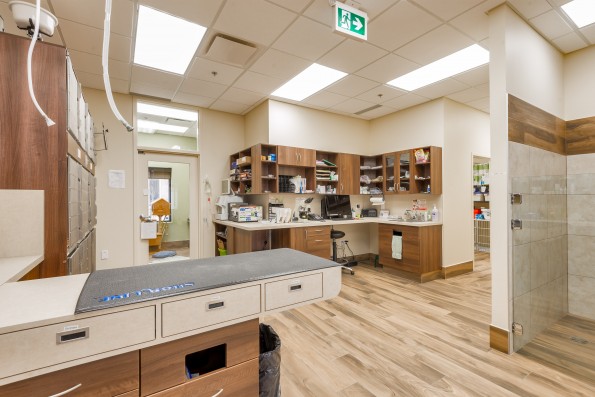 Lab & Treatment Area