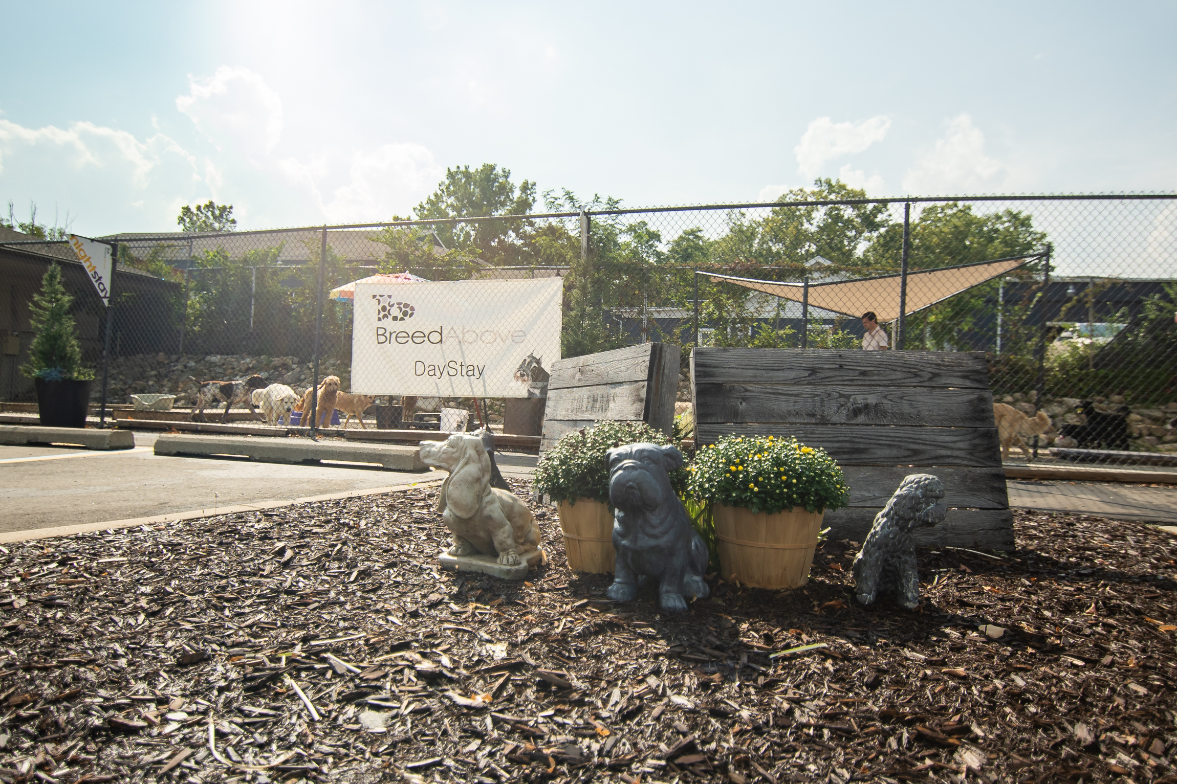 Breed Above Outdoor Gate Area