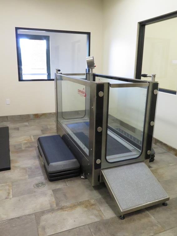 A front side view of the hydrotherapy treadmill pet machine which shows where the patient will enter. 