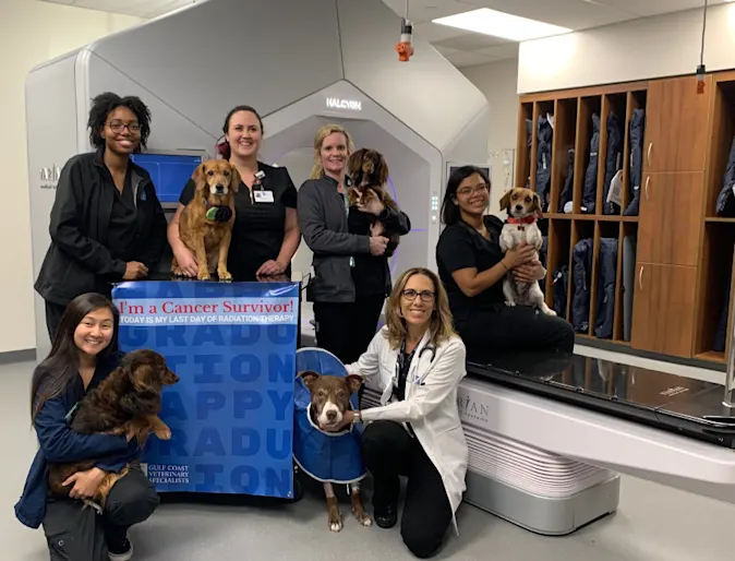 Oncology Team at GCVS Oncology Team at GCVS