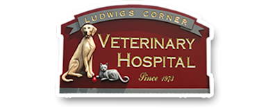 Ludwig's Corner Veterinary Hospital Logo Ludwig's Corner Veterinary Hospital Logo