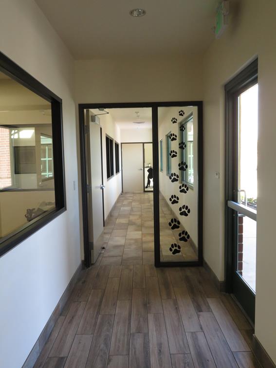 Veterinary center hallway showcasing paw print patterned side window on the side of the doorway. 