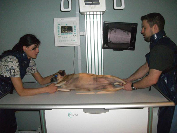 Naperville Xray room