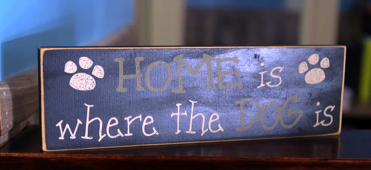 pet lodge pet resort thumbnail 