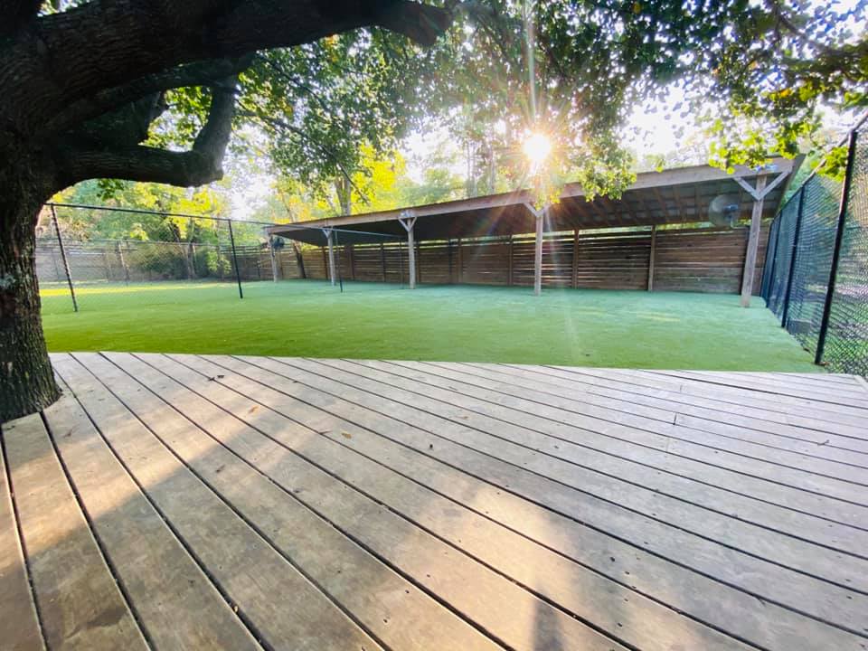 Play Area at PamperedPaws