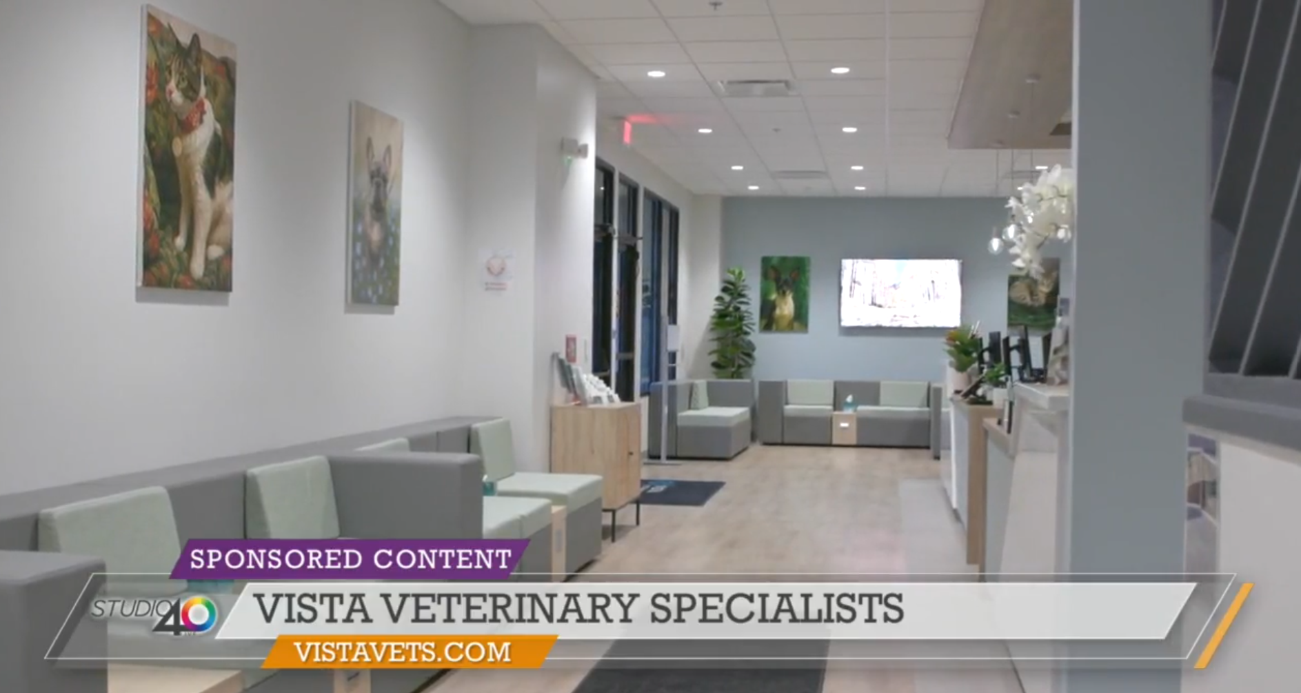 Vista Featured on FOX40: A Thanksgiving Treat for Pet Parents