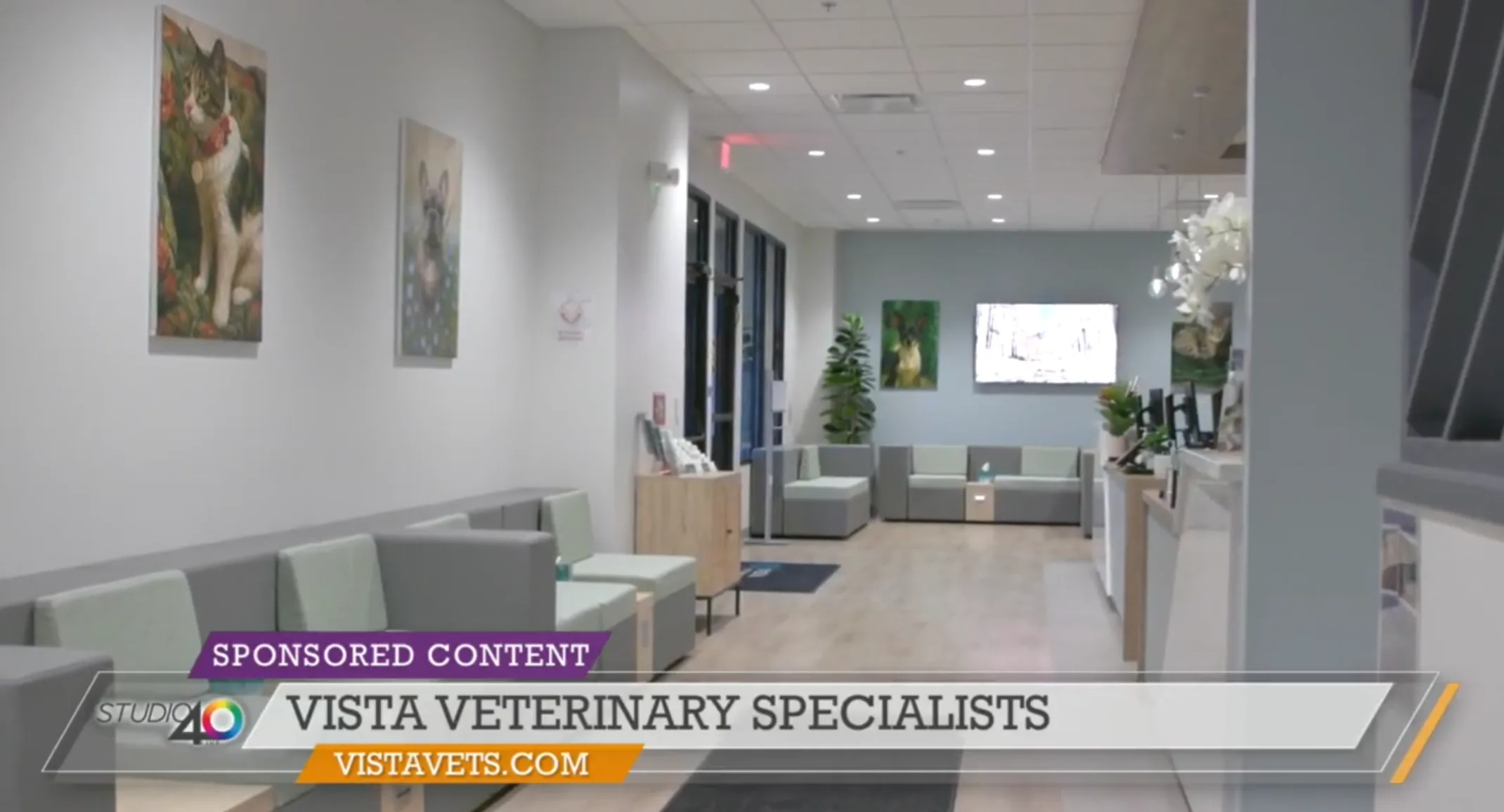 Vista Featured on FOX40: A Thanksgiving Treat for Pet Parents Vista Featured on FOX40: A Thanksgiving Treat for Pet Parents