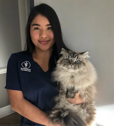 Sara Montoya Sara Montoya