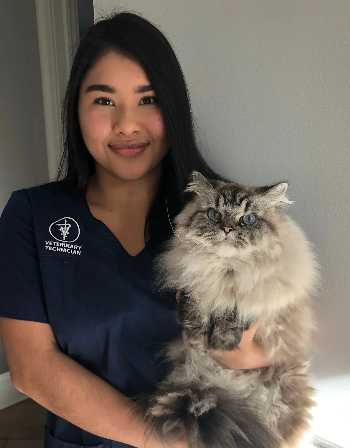 Sara Montoya Sara Montoya