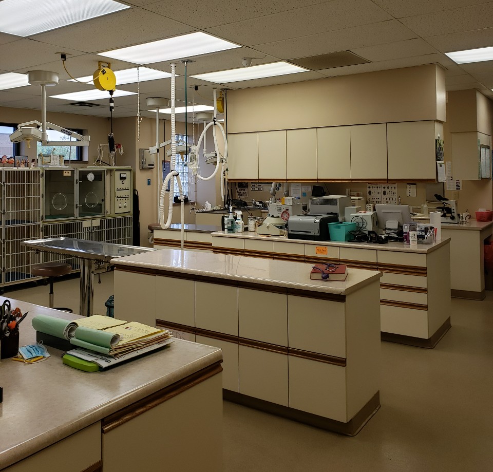 Back room at Kettering Animal Hospital