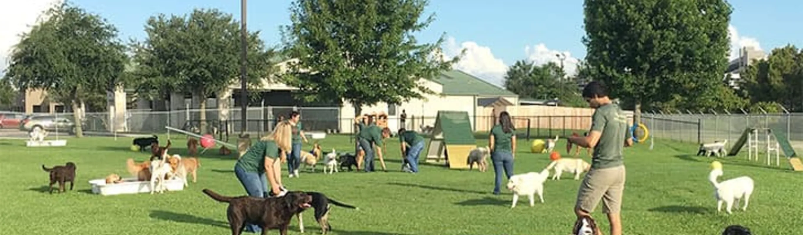 Staff with dogs in grassy play yard. Staff with dogs in grassy play yard.