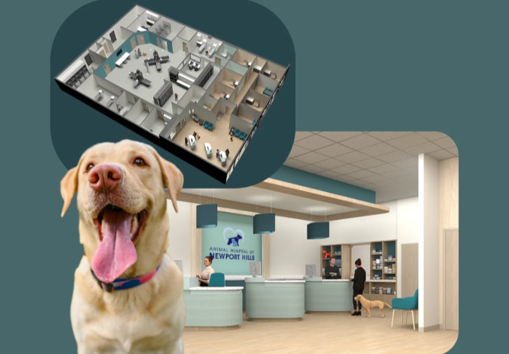 We're Moving Summer 2026! We're Moving Summer 2026!