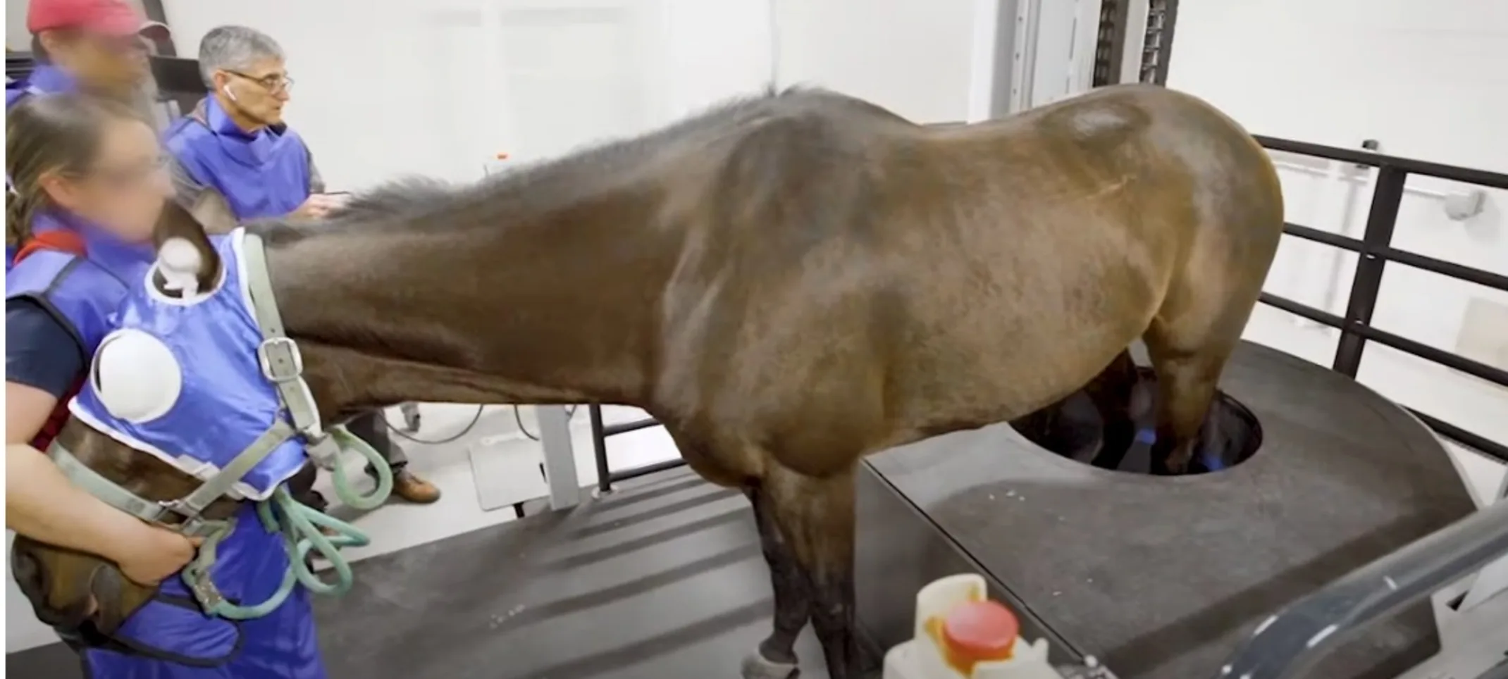 Asto CT Standing Equine CT Scanner Asto CT Standing Equine CT Scanner