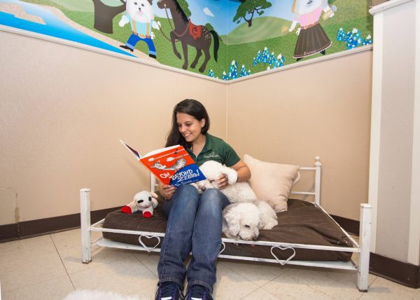 Staff reading to two white dogs in a suite
