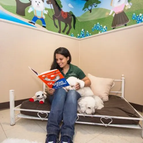 Staff reading to two white dogs in a suite Staff reading to two white dogs in a suite