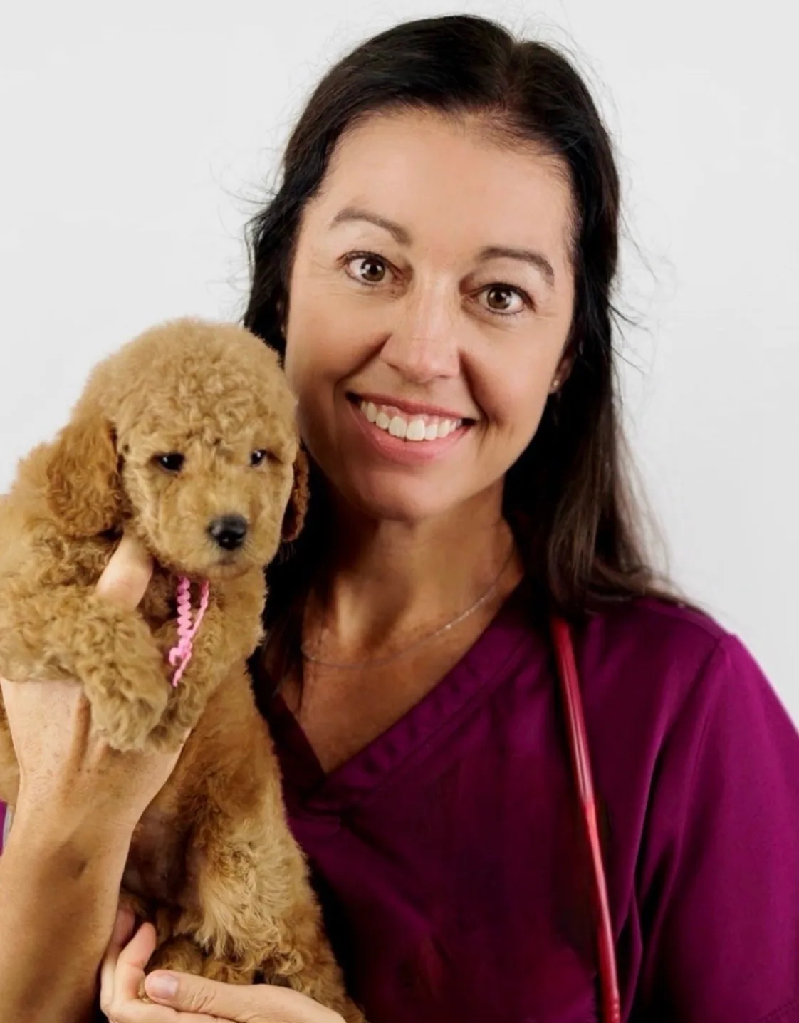 Dr Jamie Walsh Dr Jamie Walsh