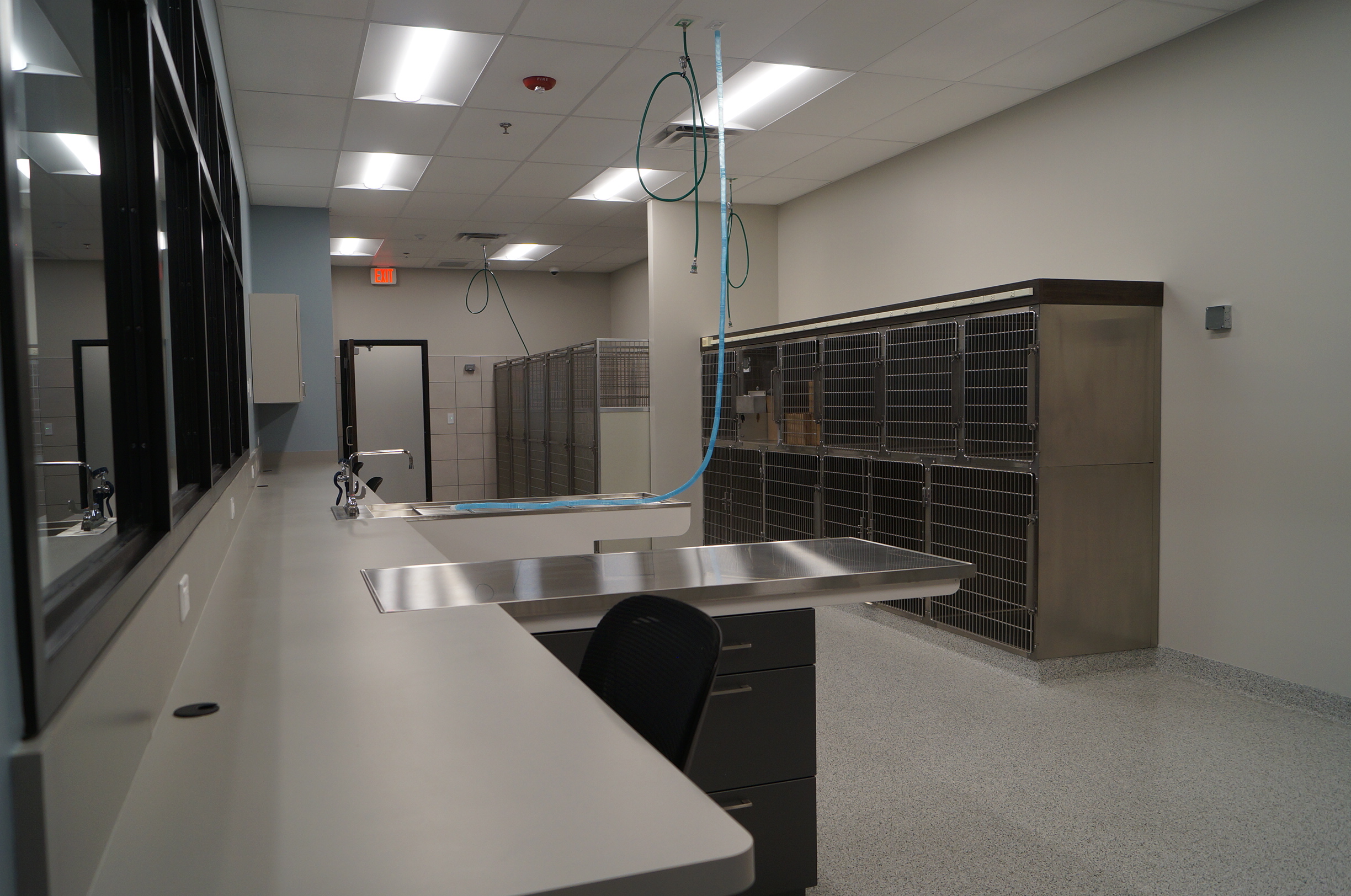 ICU at Animal Medical Center of Plainfield