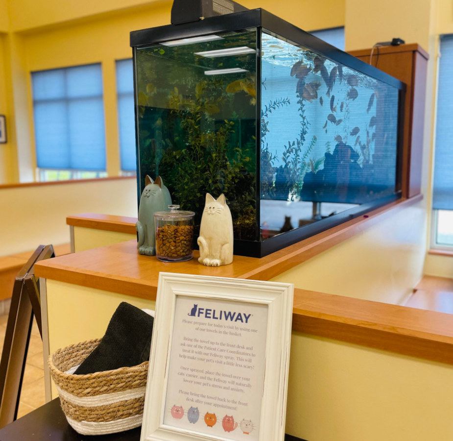 Huffard Lobby and Fish Tank