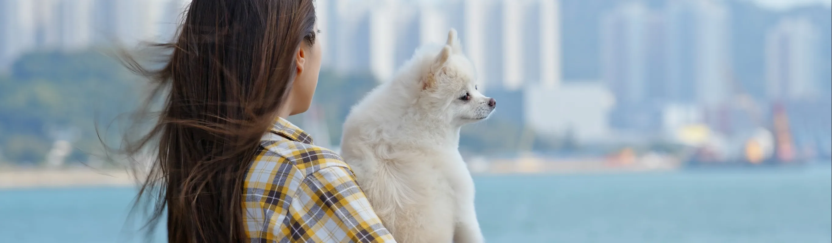 Woman with a dog looking at a city