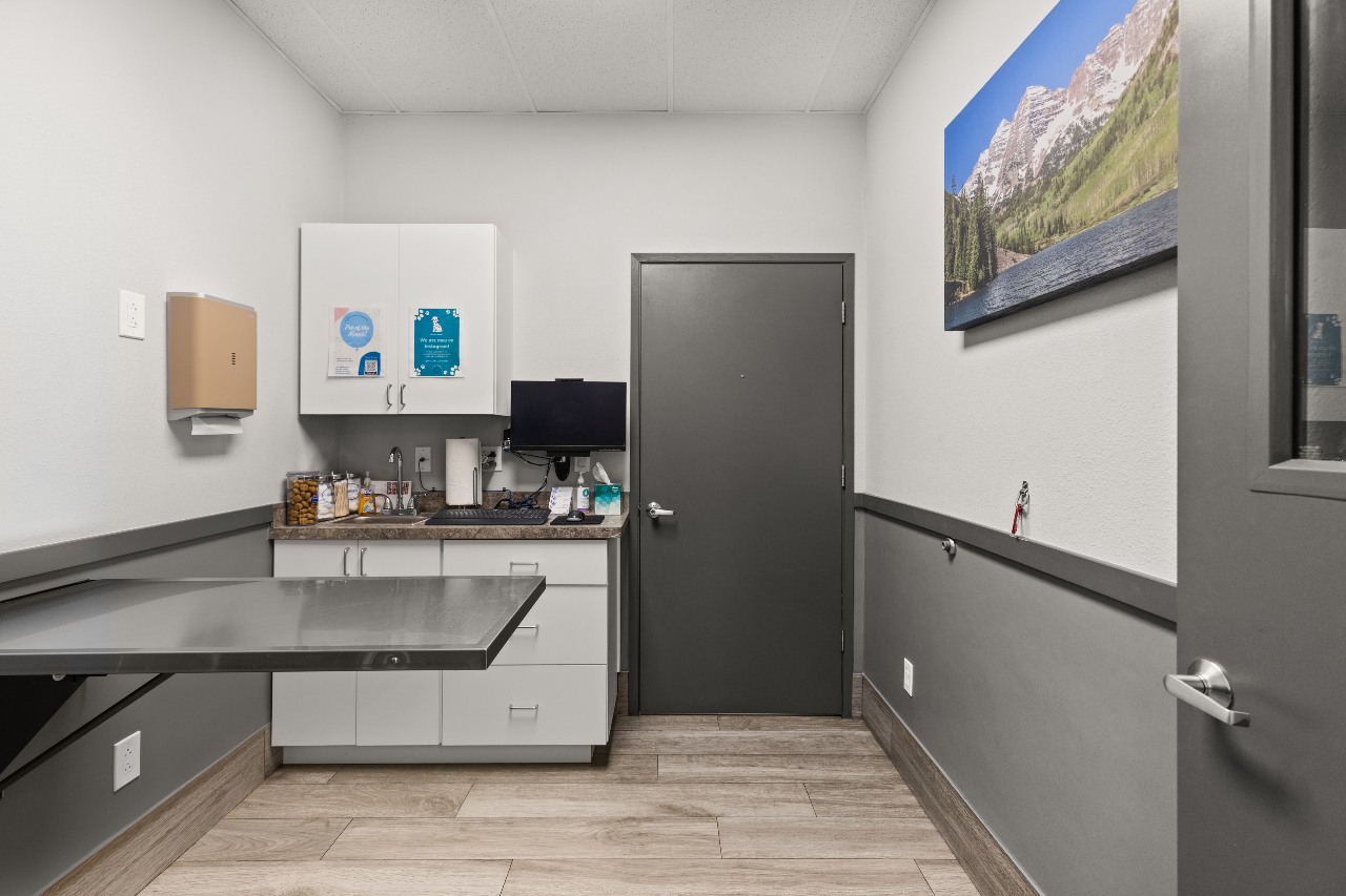 Examination room at All Pet Complex Veterinary Hospital