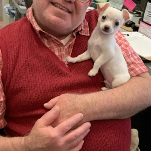 Dog on shoulder Dog on shoulder