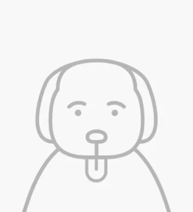 Pencil Puppy Placeholder Pencil Puppy Placeholder