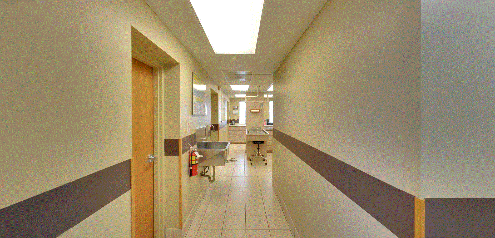 Peotone Animal Hospital - Hallway Area which leads you to different medical rooms