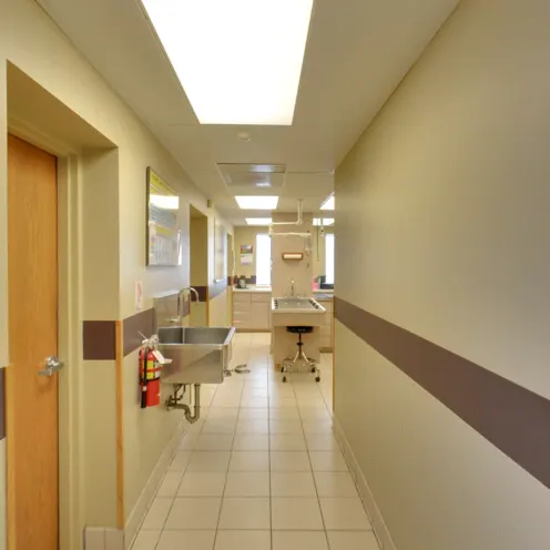 Peotone Animal Hospital - Hallway Area which leads you to different medical rooms