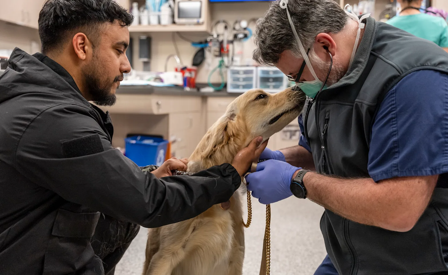 Two Veterinarians with a Dog inside SAGE Veterinary Center - Campbell Two Veterinarians with a Dog inside SAGE Veterinary Center - Campbell