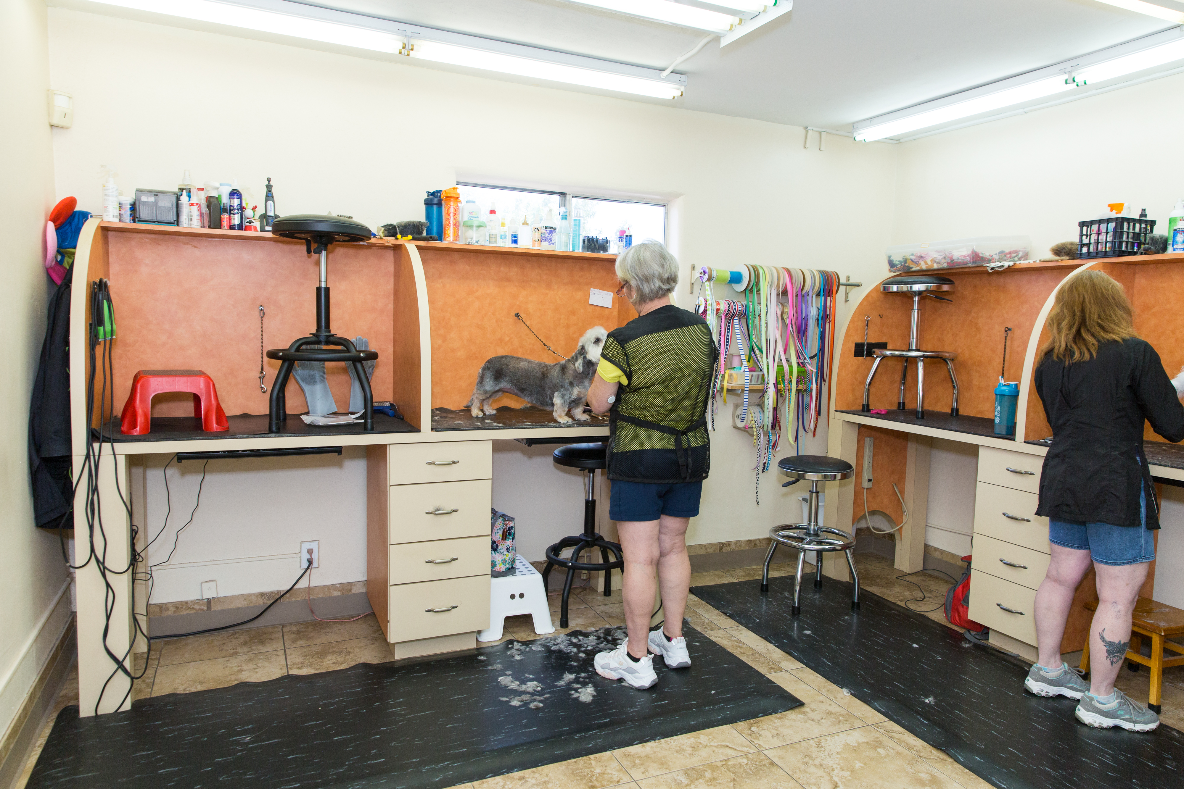 4 Paws Pet Resort Grooming Specialist