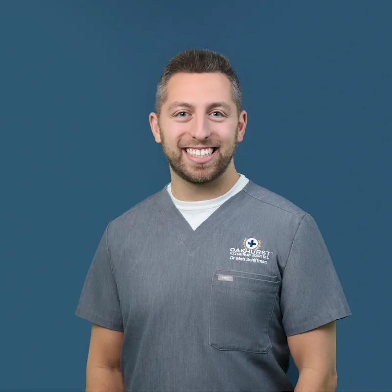 Dr. Matthew Schiffman sitting in grass with a dog Dr. Matthew Schiffman sitting in grass with a dog