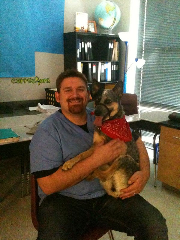 Staff member holding dog 